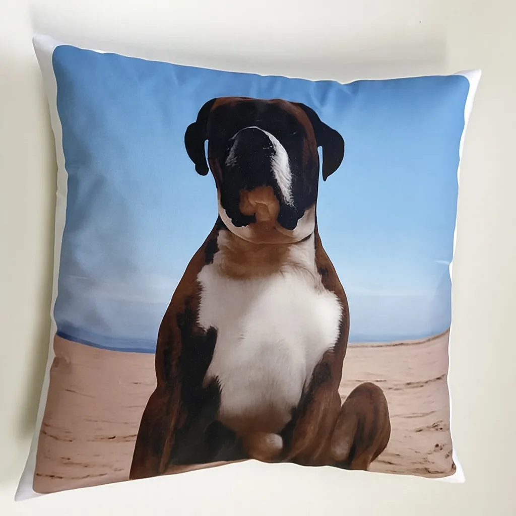 Cojin personalizado foto mascota